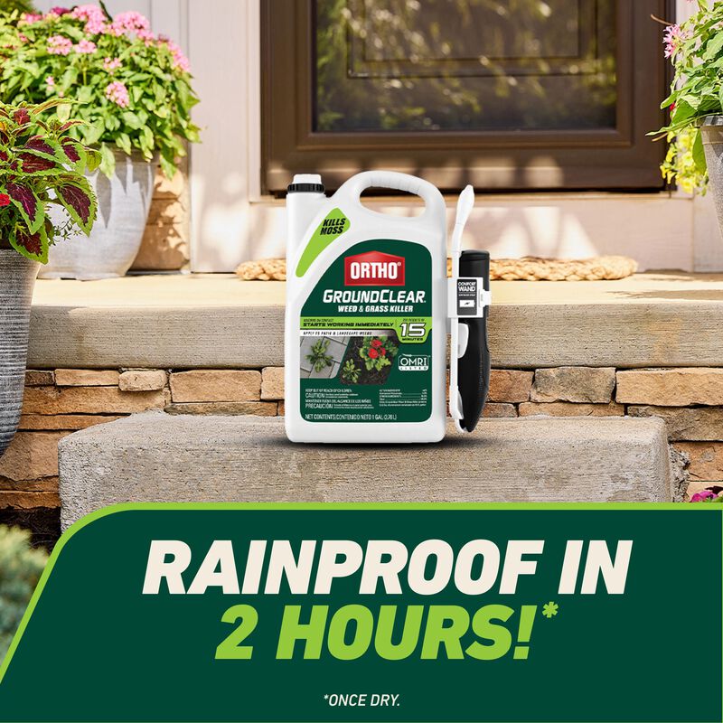 Ortho® GroundClear® Weed & Grass Killer with Comfort Wand® image number null